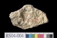 藏品(石灰岩)的圖片